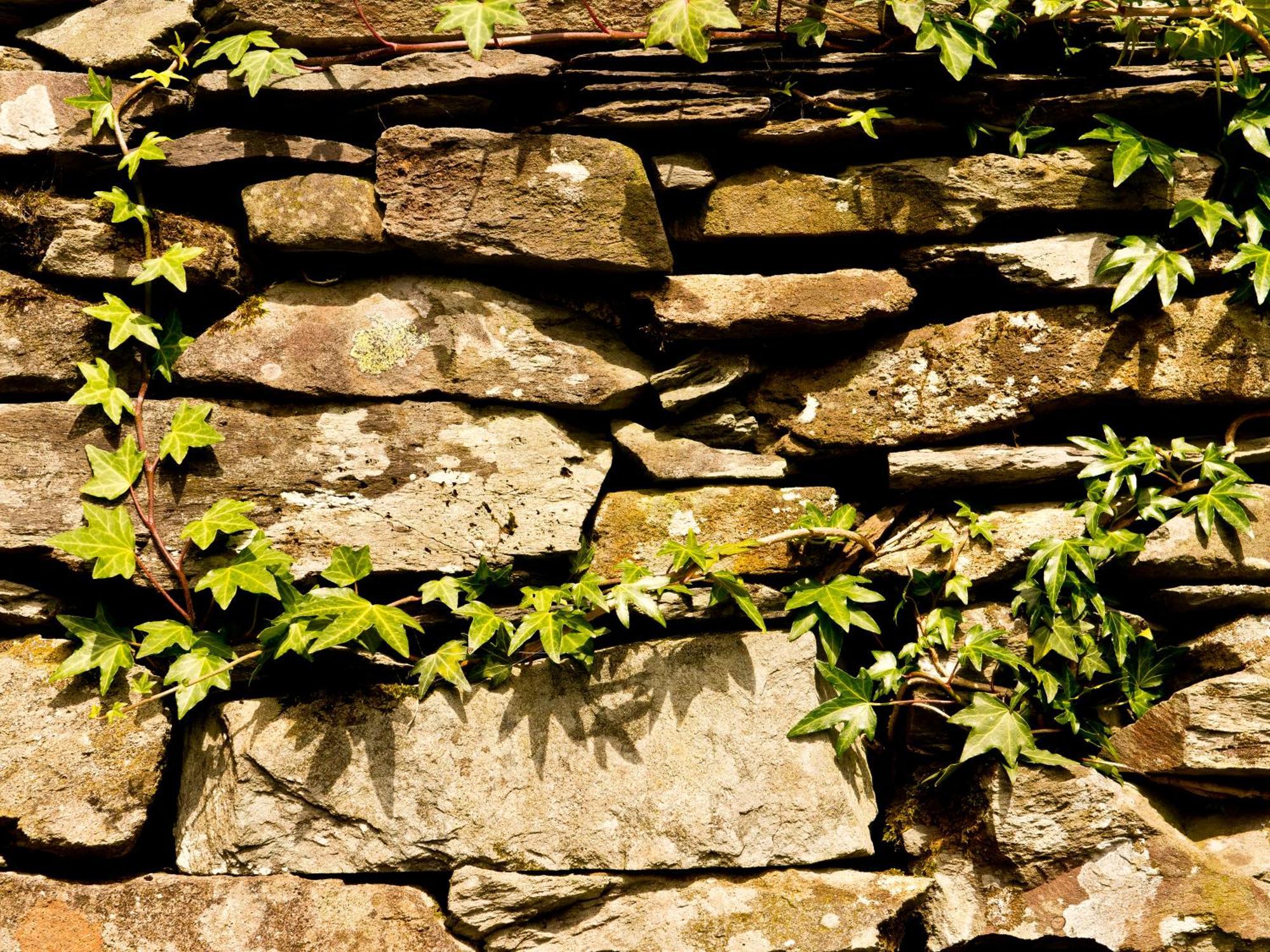 Albergue Yha Langdale Ambleside Exterior foto